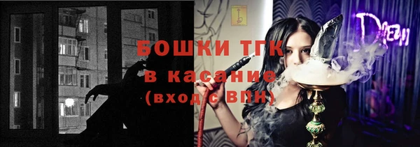 PSILOCYBIN Алзамай