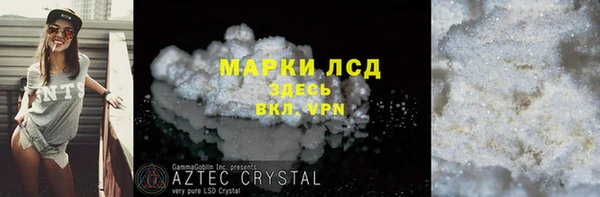 PSILOCYBIN Алзамай